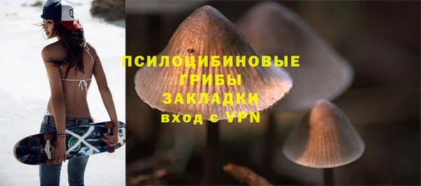 дурь Белоозёрский