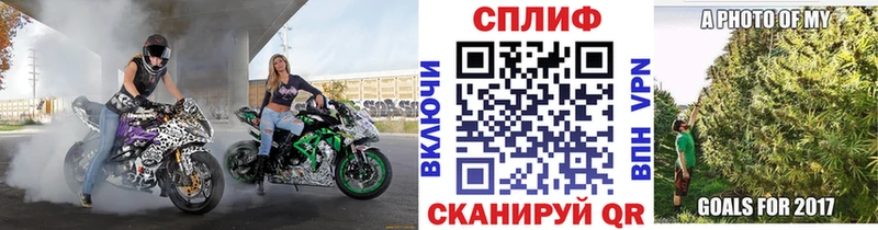 Конопля конопля  Купить  Михайлов 